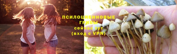 дмт Зерноград