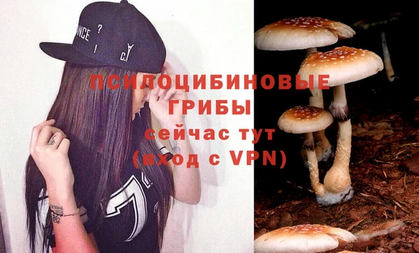 ГАЛЛЮЦИНОГЕННЫЕ ГРИБЫ Зеленодольск